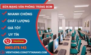 sửa mạng văn phòng trảng bom