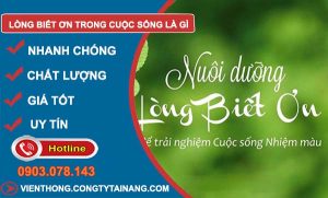 lòng biết ơn trong cuộc sống là gì