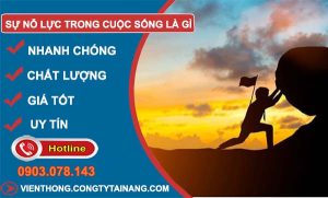 sự nỗ lực trong cuộc sống là gì