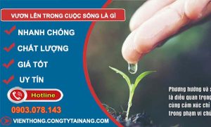 tìm hiểu vươn lên trong cuộc sống là gì