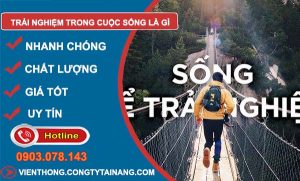 trải nghiệm trong cuộc sống là gì